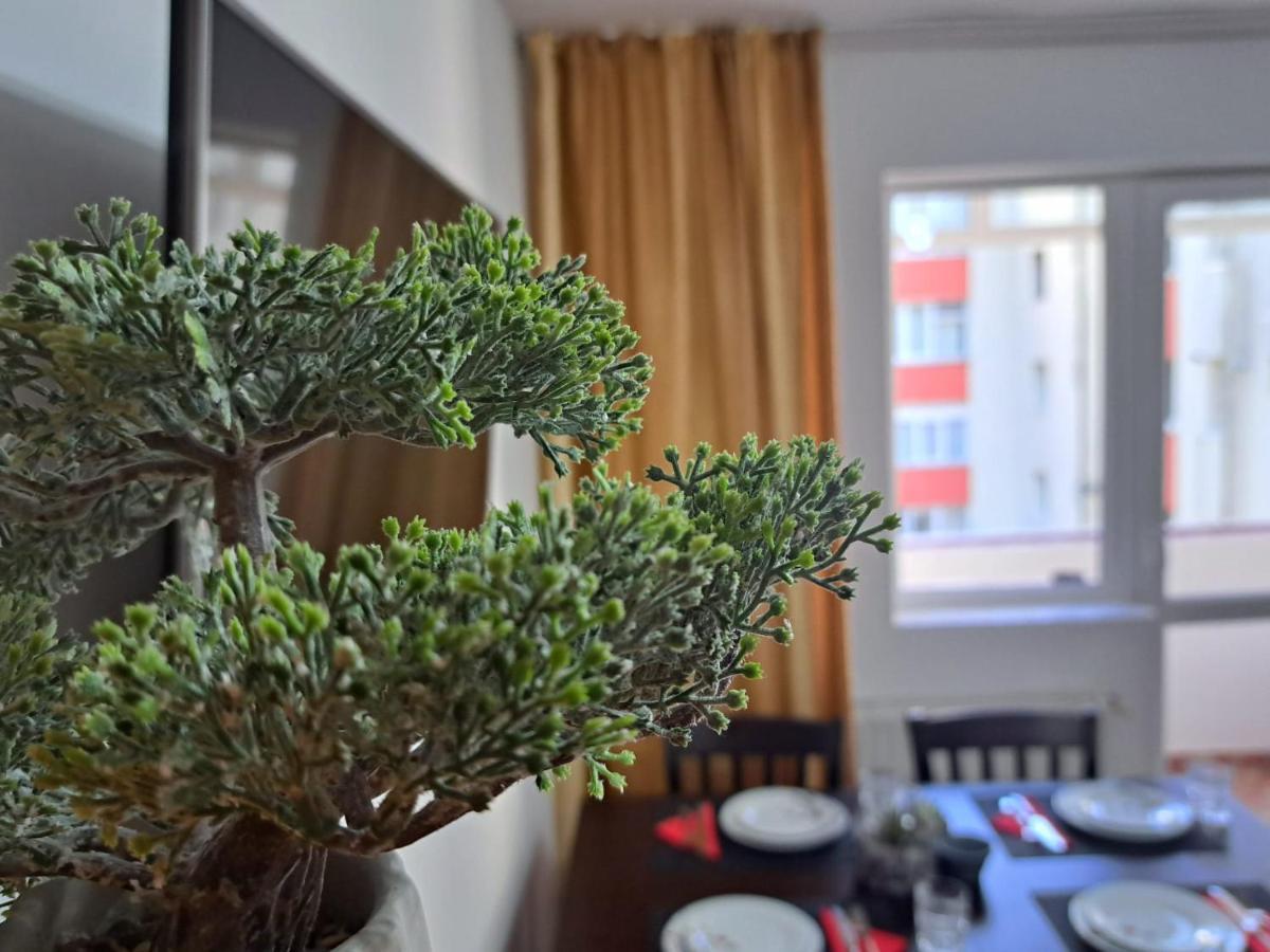Aviliz Apartament Buşteni 外观 照片