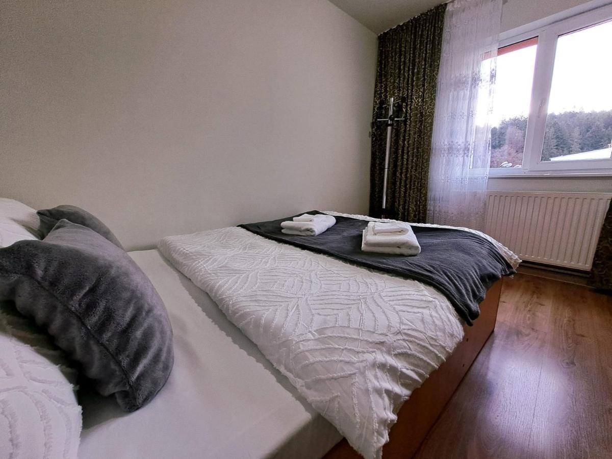 Aviliz Apartament Buşteni 外观 照片