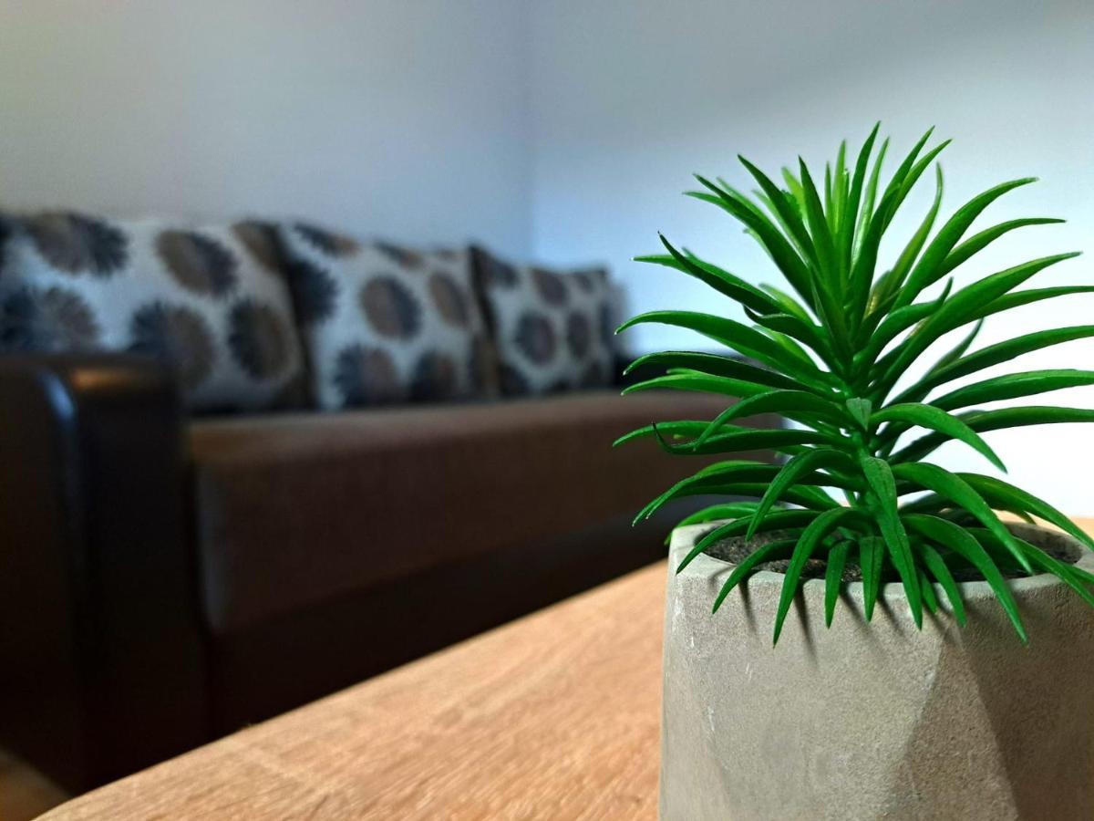 Aviliz Apartament Buşteni 外观 照片
