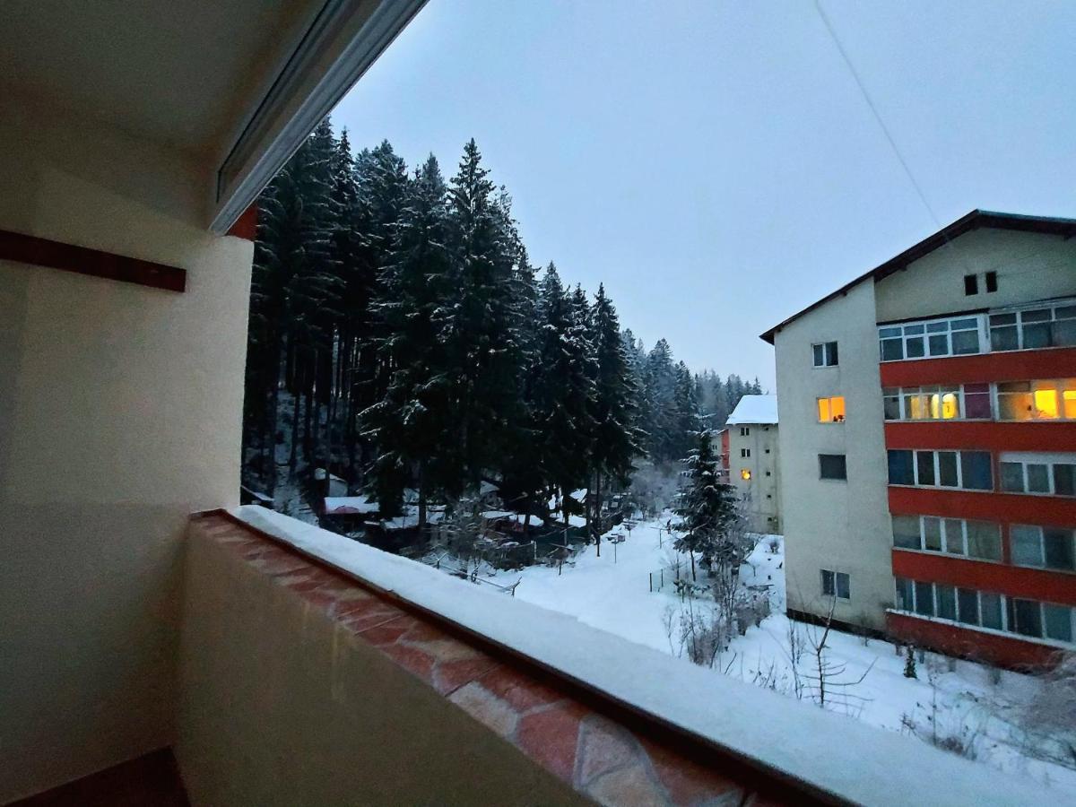 Aviliz Apartament Buşteni 外观 照片