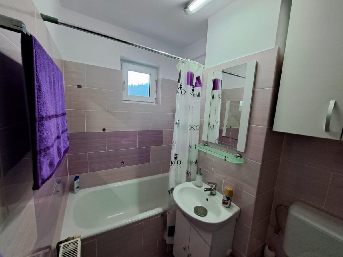 Aviliz Apartament Buşteni 外观 照片