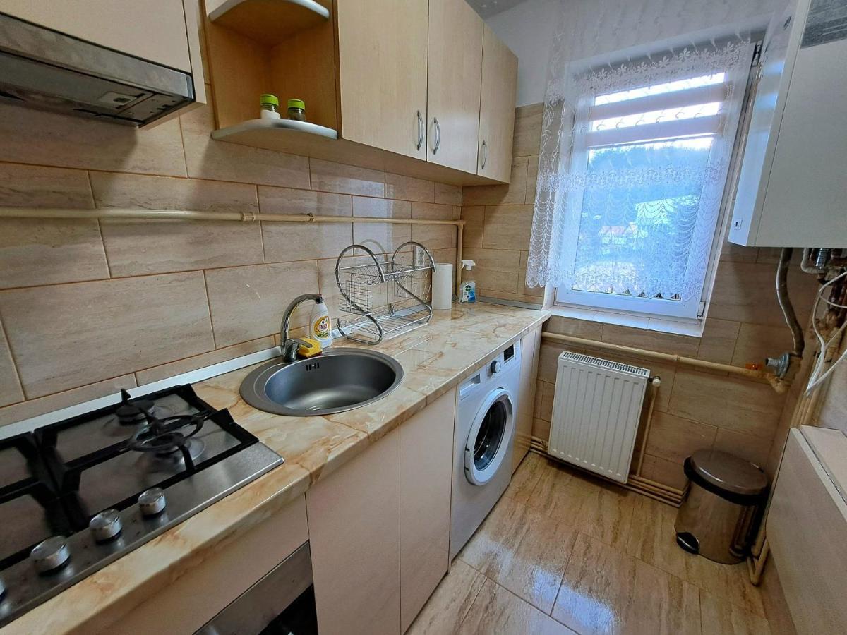Aviliz Apartament Buşteni 外观 照片