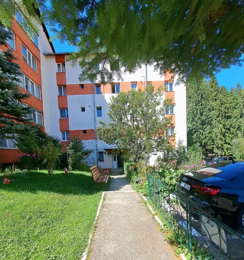Aviliz Apartament Buşteni 外观 照片