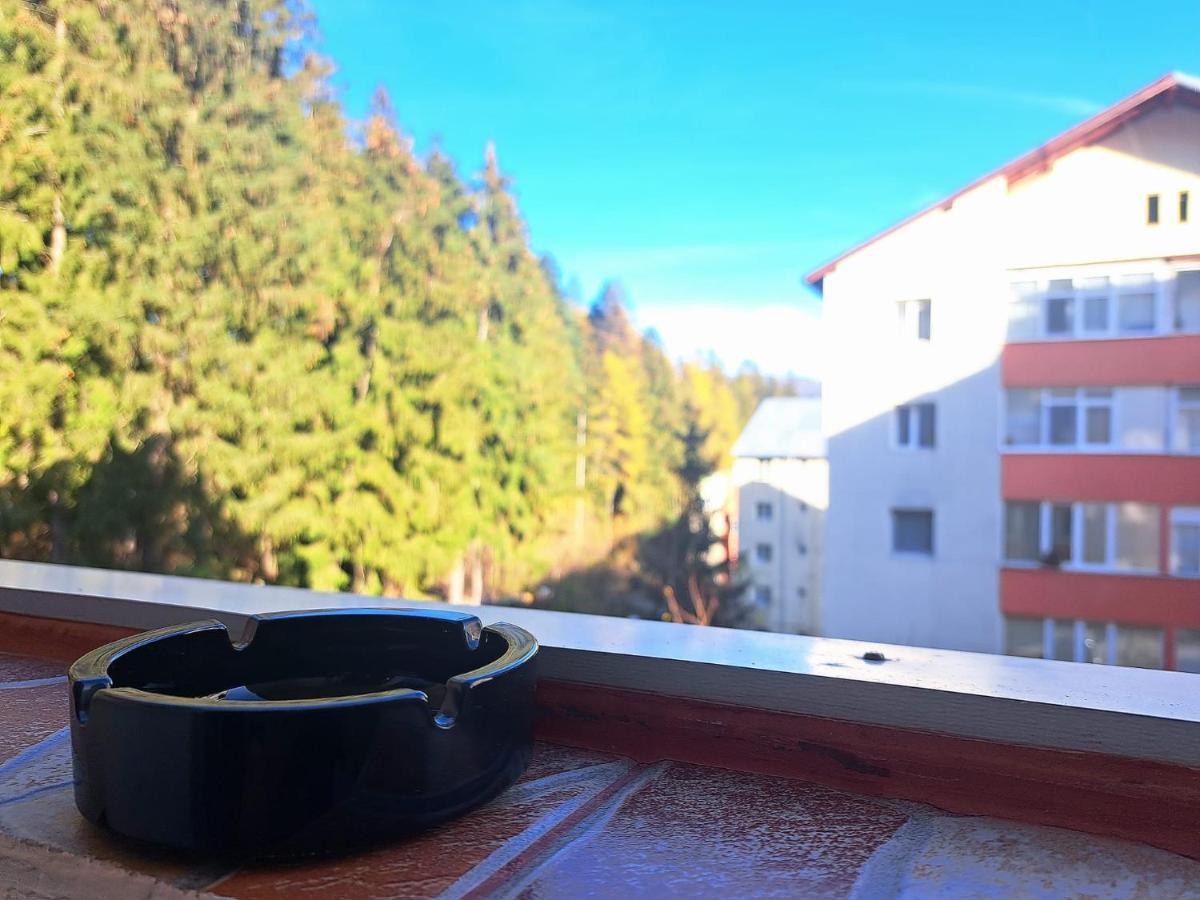 Aviliz Apartament Buşteni 外观 照片