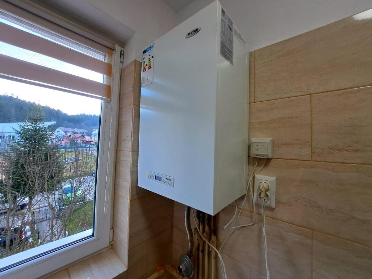 Aviliz Apartament Buşteni 外观 照片