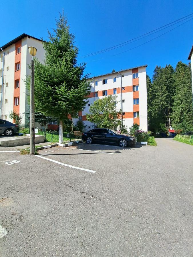 Aviliz Apartament Buşteni 外观 照片