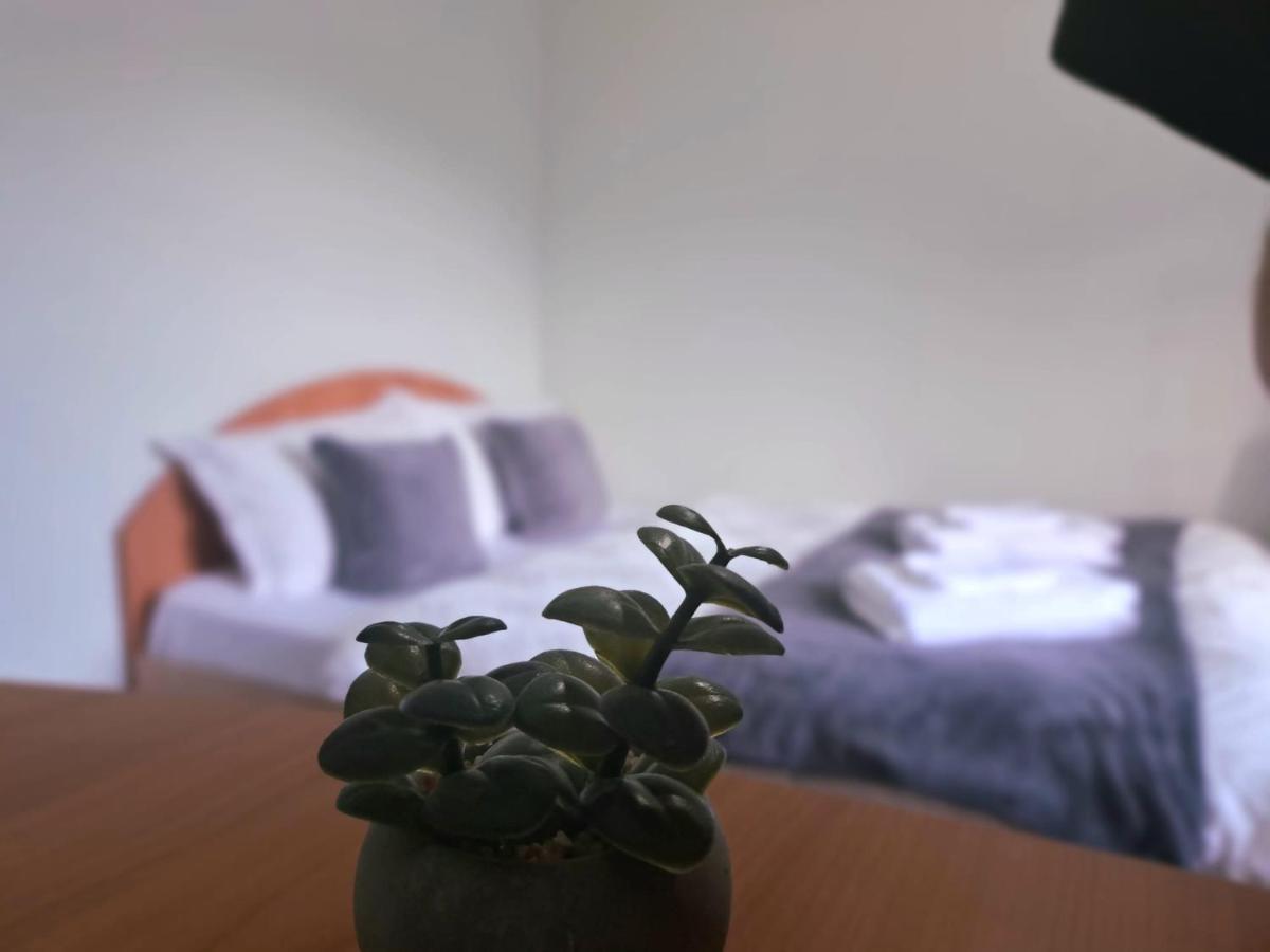 Aviliz Apartament Buşteni 外观 照片