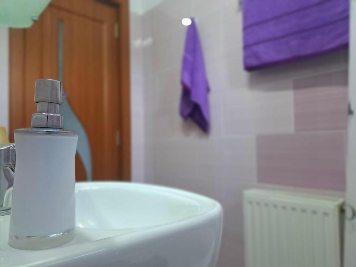 Aviliz Apartament Buşteni 外观 照片