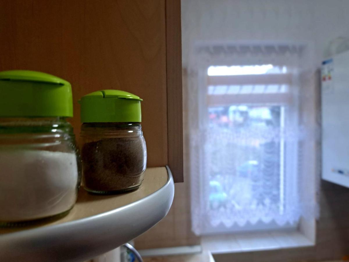 Aviliz Apartament Buşteni 外观 照片